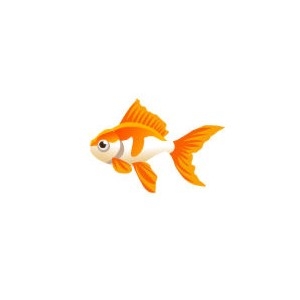 Goldfish